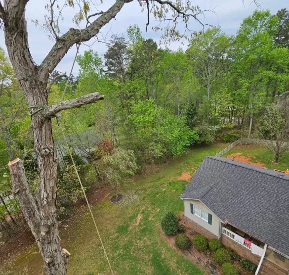 Reliable landscaping services in China Grove, NC - Pacheco's Tree Service