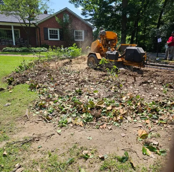 Local outdoor landscaping for beautiful yards in China Grove, NC by Pacheco's Tree Service
