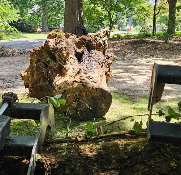 Professional landscape installation in China Grove, NC - Pacheco's Tree Service