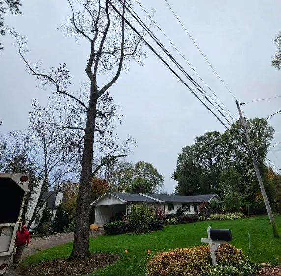 Trusted outdoor landscaping in China Grove, NC by Pacheco's Tree Service