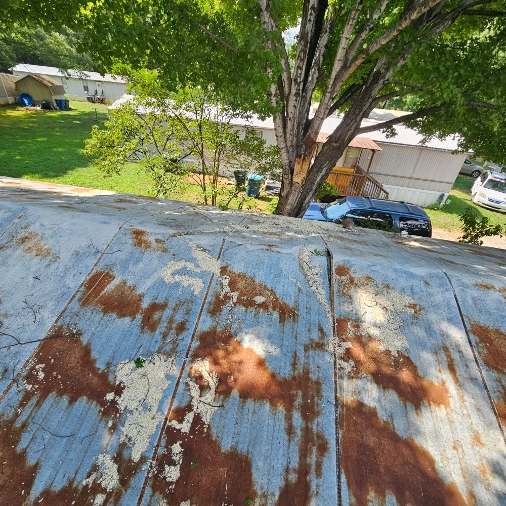 Expert lawn mowing service in China Grove, NC by Pacheco's Tree Service