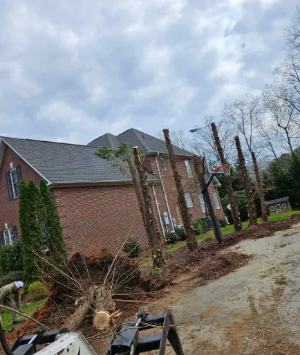 Top-rated outdoor landscaping in China Grove, NC - Pacheco's Tree Service