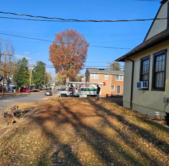 Top-rated landscape design for year-round maintenance in China Grove, NC by Pacheco's Tree Service