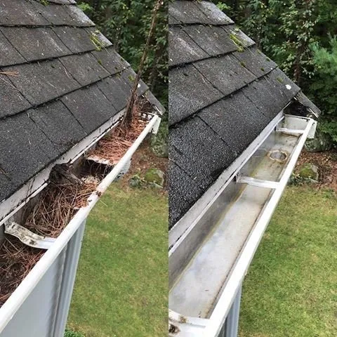 Expert yard maintenance in Thorndale, TX by Pachl’s Perfect Pressure Washing