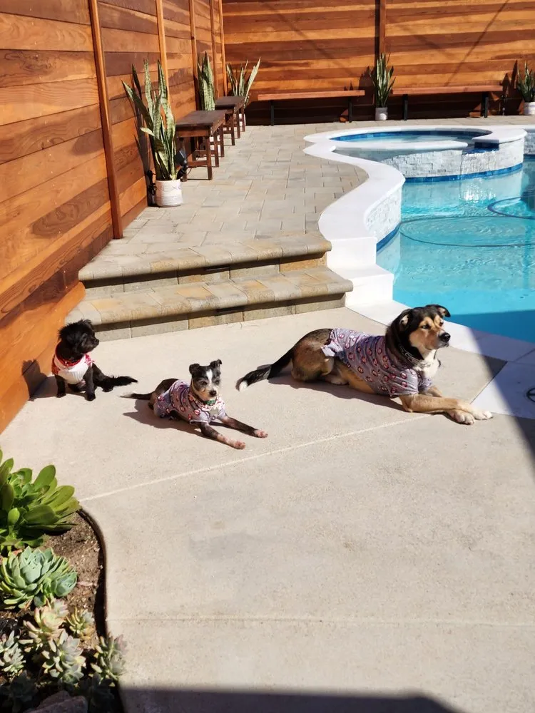 Top-rated landscape installation in Huntington Beach, CA by Pacific Breeze Building Solutions