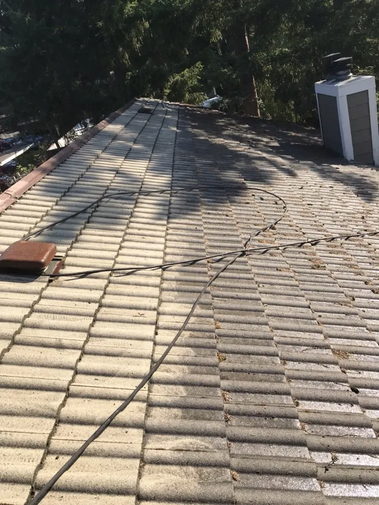 Professional landscape design in Gig Harbor, WA by Pacific Building Maintenance