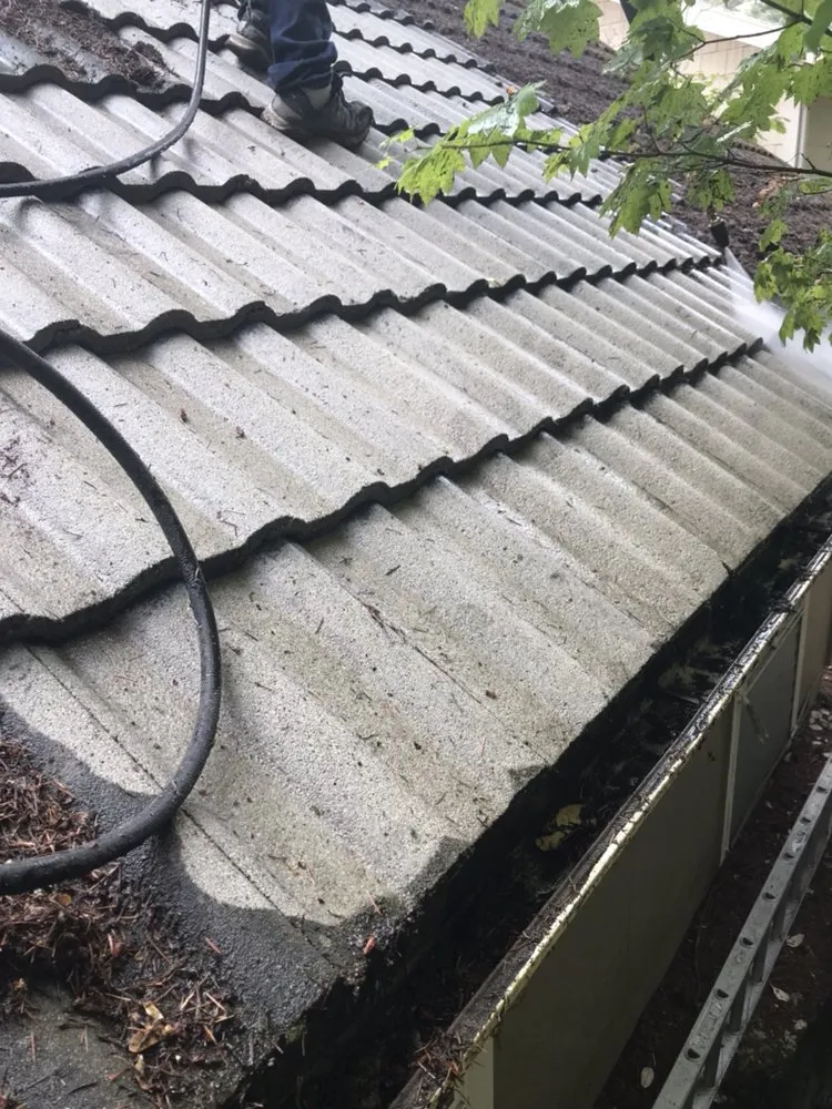 Local yard maintenance experts serving Gig Harbor, WA - Pacific Building Maintenance