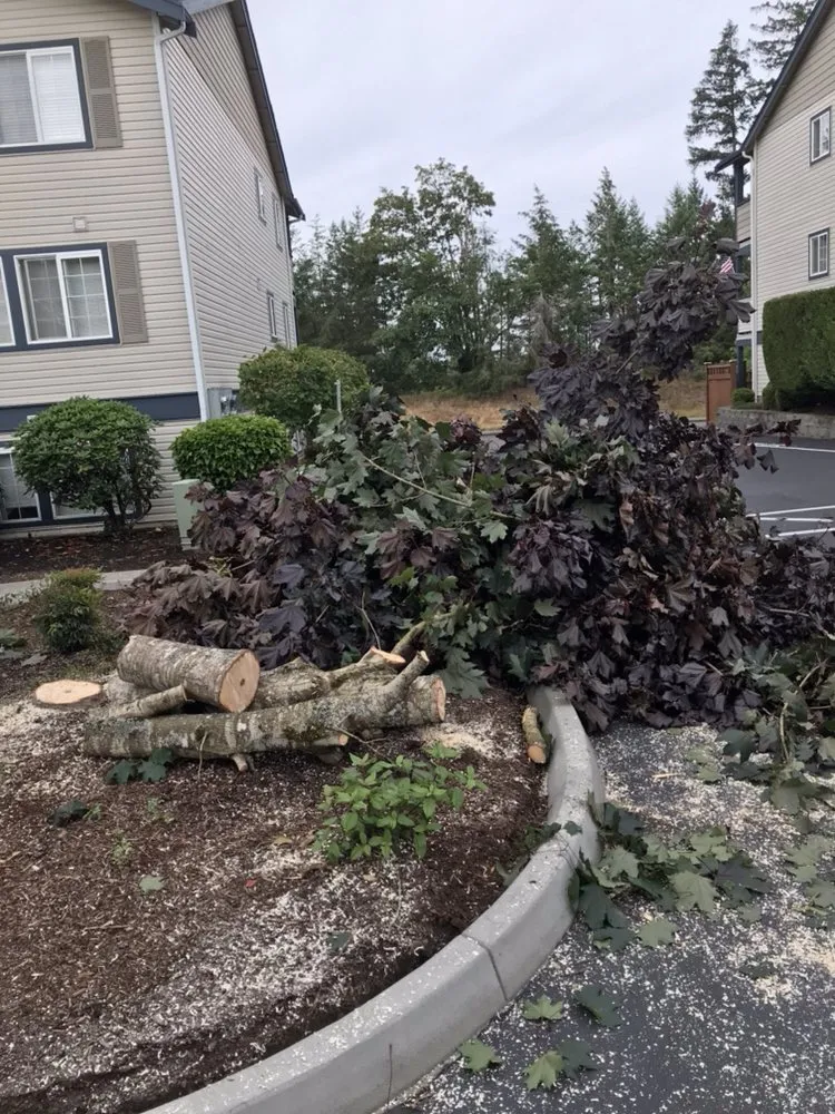 Professional yard maintenance for homes in Gig Harbor, WA by Pacific Building Maintenance