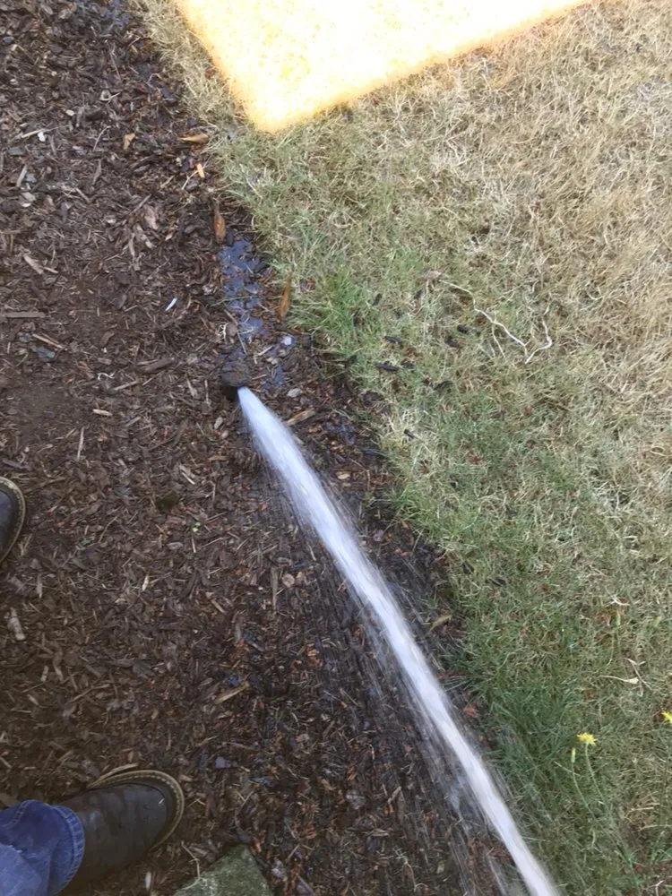 Trusted lawn care service experts serving Gig Harbor, WA - Pacific Building Maintenance