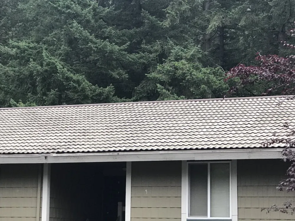 Affordable yard maintenance with custom design across Gig Harbor, WA - Pacific Building Maintenance