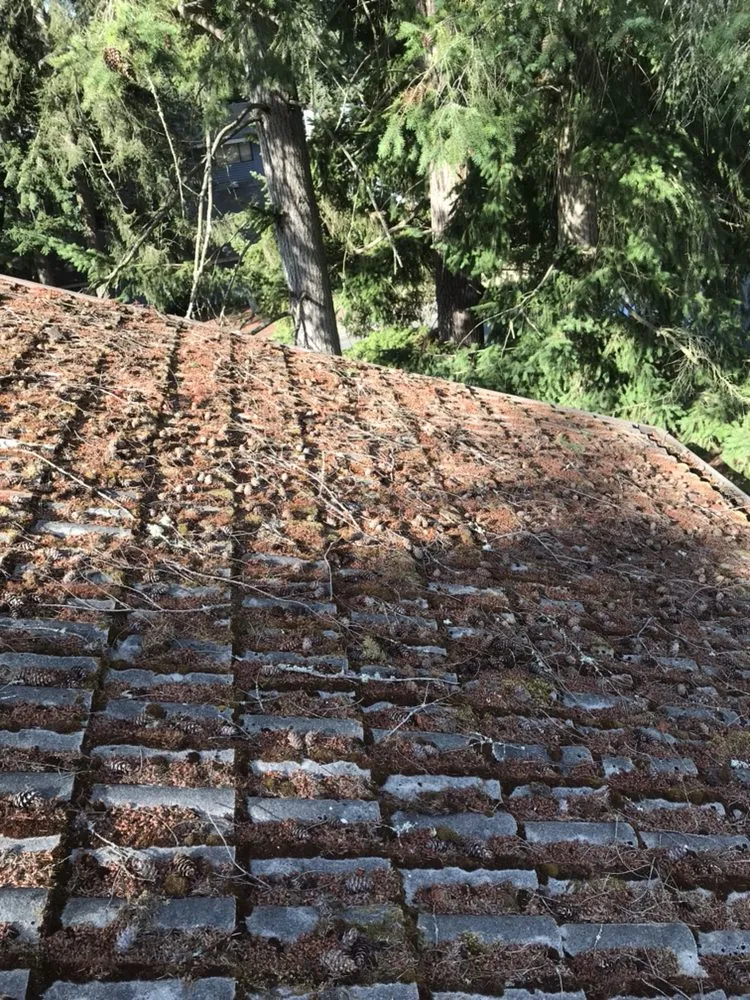 Professional residential landscaping for residential properties in Gig Harbor, WA by Pacific Building Maintenance