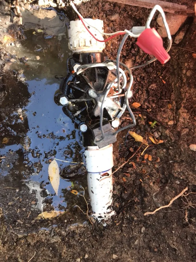 Affordable landscape design in Gig Harbor, WA by Pacific Building Maintenance