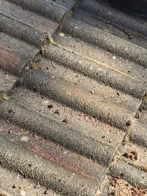 Pacific Building Maintenance Logo