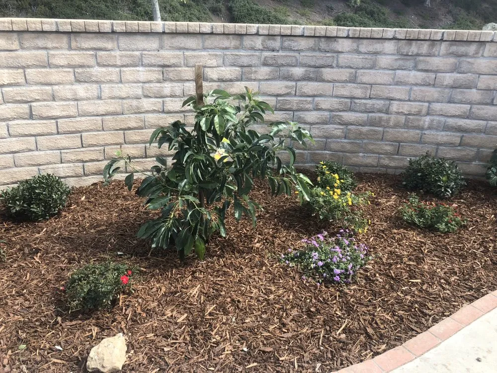 Professional residential landscaping in Oxnard, CA - Pacific-Co Tree Service