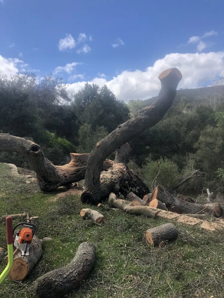 Professional lawn care service in Oxnard, CA - Pacific-Co Tree Service