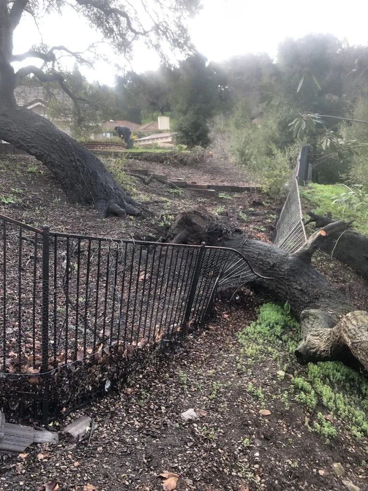 Expert residential landscaping experts serving Oxnard, CA - Pacific-Co Tree Service