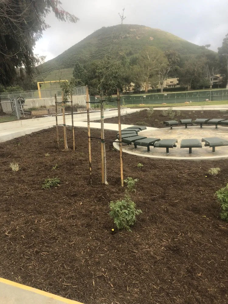 Reliable landscaping services for year-round maintenance in Oxnard, CA by Pacific-Co Tree Service