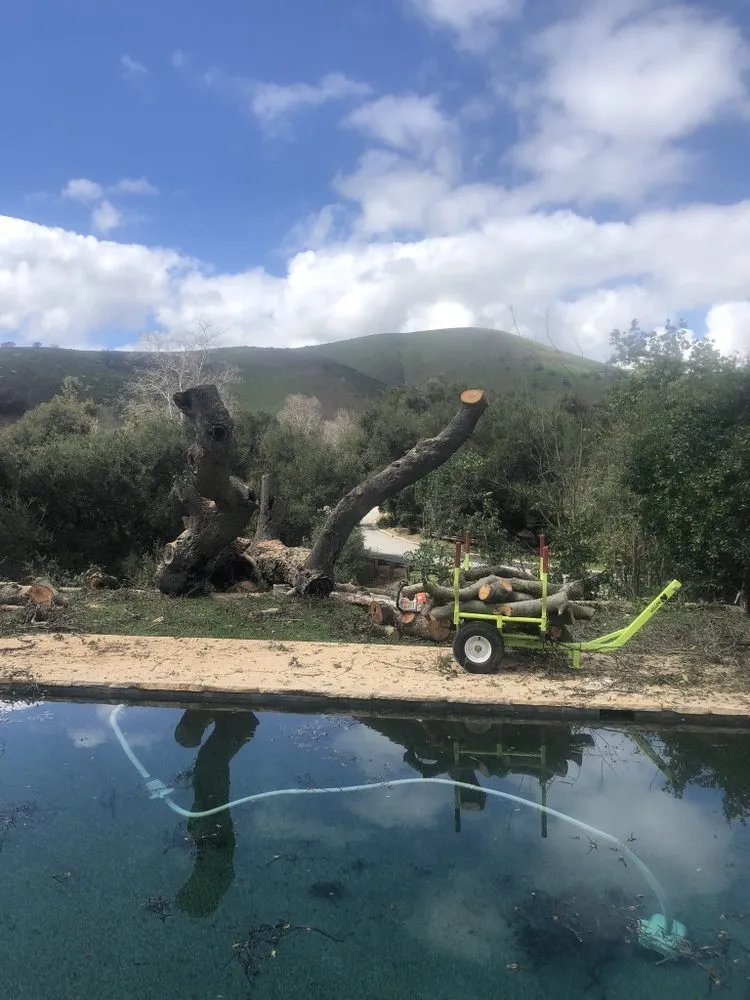 Expert residential landscaping for beautiful yards in Oxnard, CA by Pacific-Co Tree Service