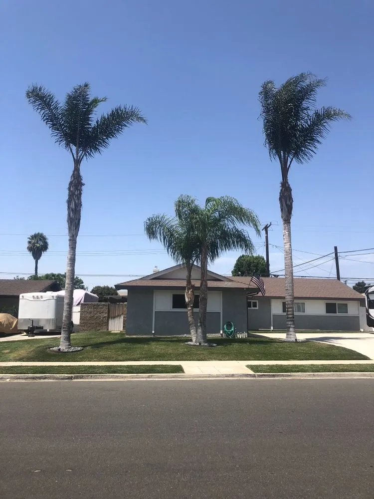 Professional landscape installation for residential properties across Oxnard, CA - Pacific-Co Tree Service