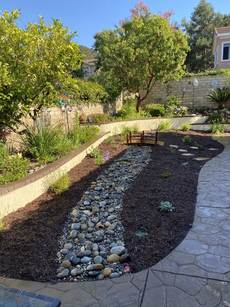 Trusted yard cleanup service experts serving Oxnard, CA - Pacific-Co Tree Service