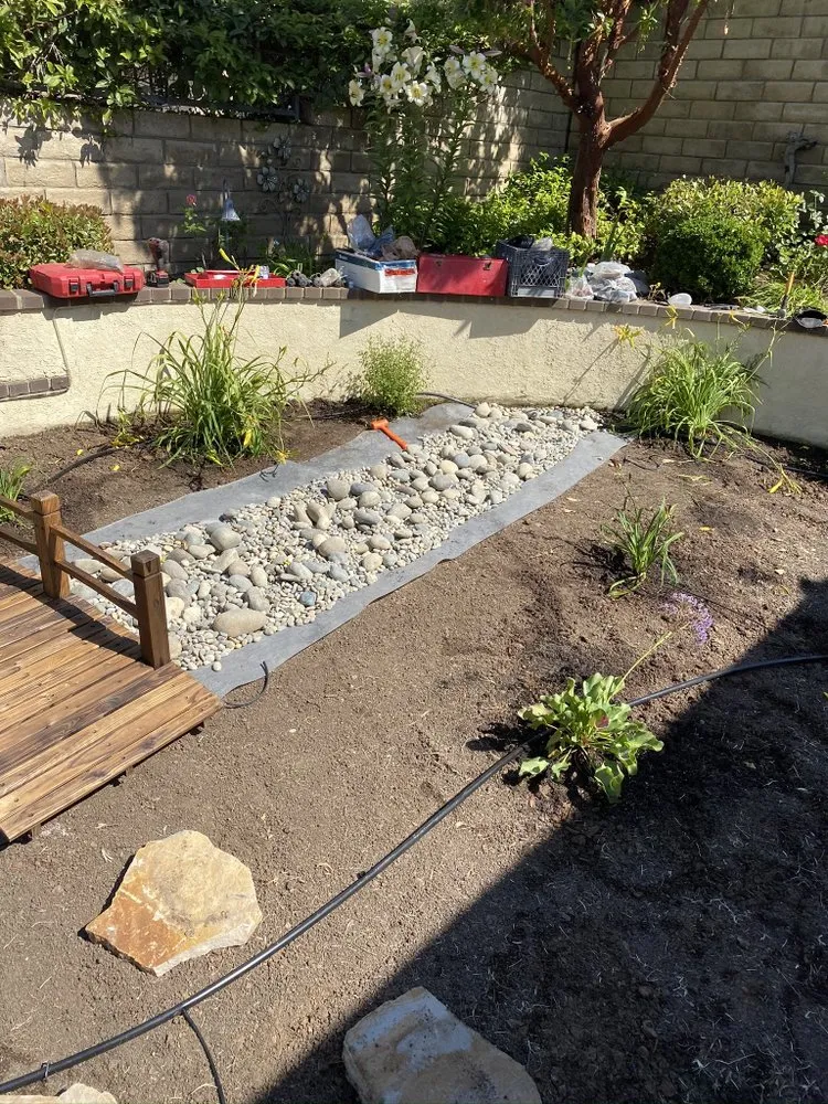 Affordable yard cleanup service for residential properties in Oxnard, CA by Pacific-Co Tree Service