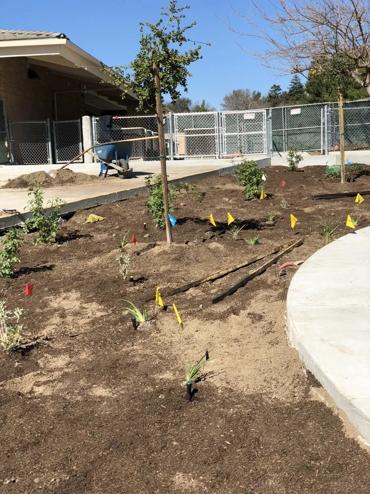 Reliable lawn care service in Oxnard, CA - Pacific-Co Tree Service