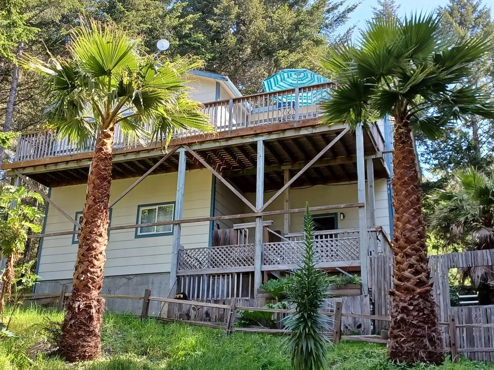 Expert yard cleanup service experts serving Fortuna, CA - Pacific Coast Gardening.