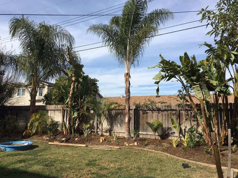 Custom landscape design for outdoor upgrades in Huntington Beach, CA by Pacific Coast Gardenscapes