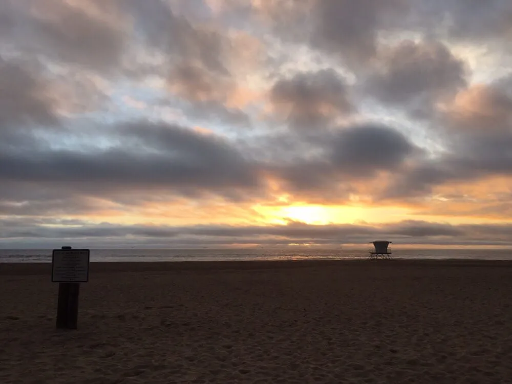 Top-rated yard cleanup service for year-round maintenance in Huntington Beach, CA by Pacific Coast Gardenscapes