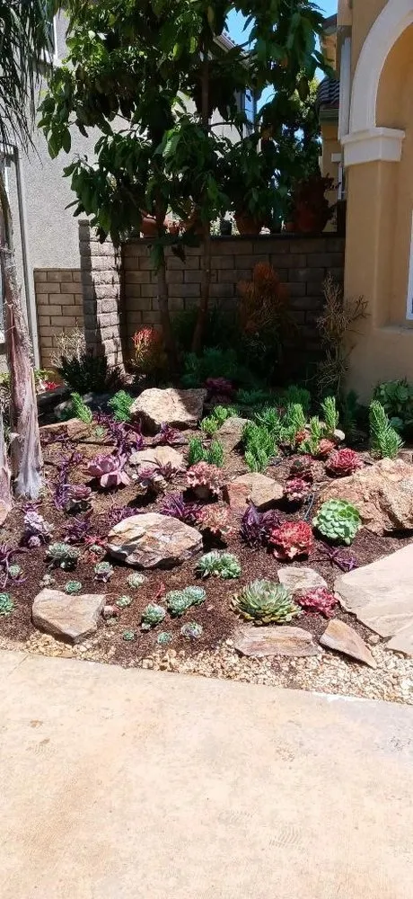 Trusted residential landscaping for outdoor upgrades in Oxnard, CA by Pacific Coast Landscape