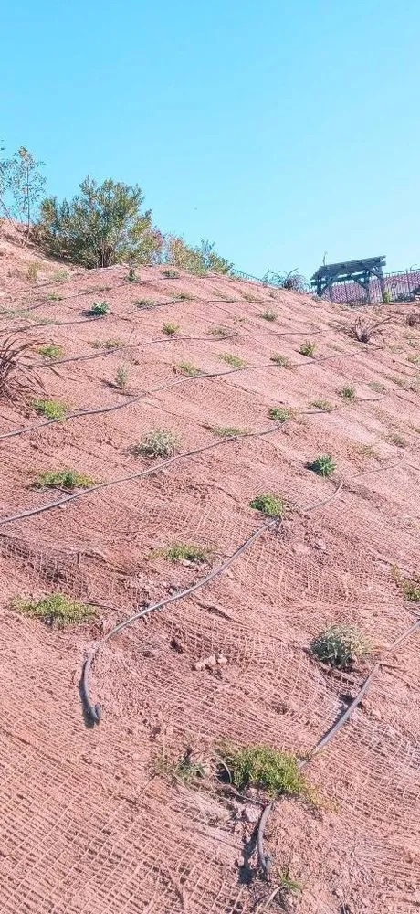 Trusted yard maintenance for year-round maintenance across Oxnard, CA - Pacific Coast Landscape