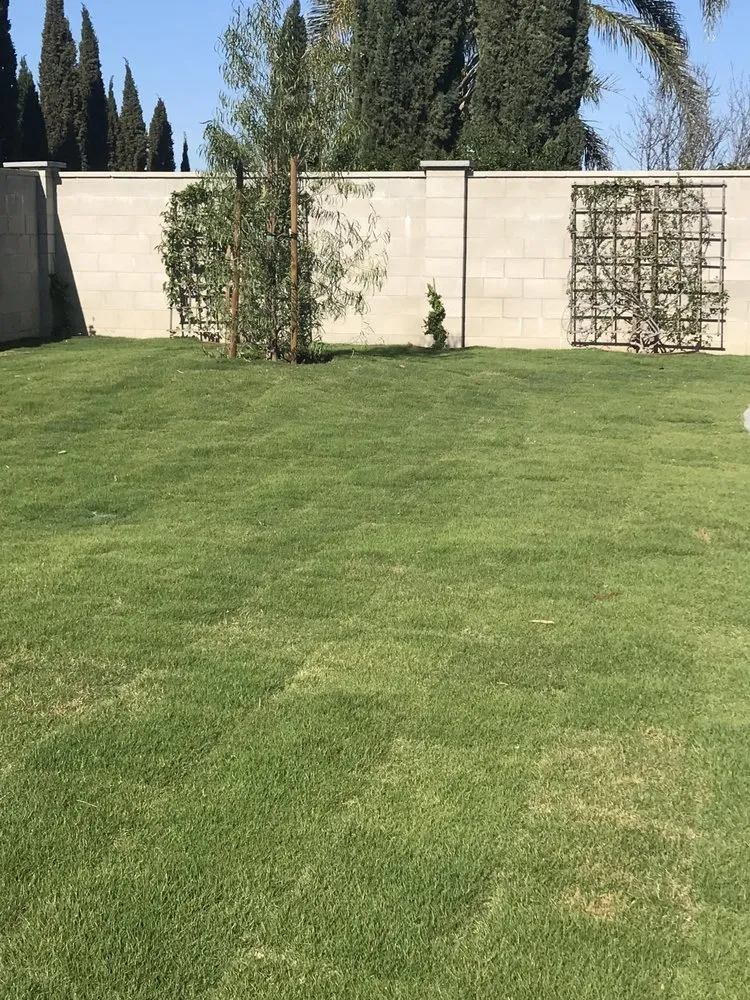 Affordable lawn mowing service for outdoor upgrades in Oxnard, CA by Pacific Coast Landscape