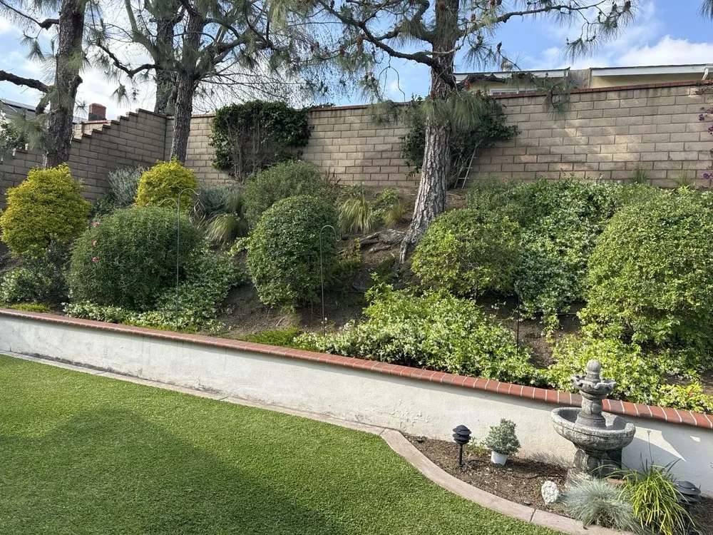 Expert lawn mowing service in Fullerton, CA - Pacific Coast Landscaping
