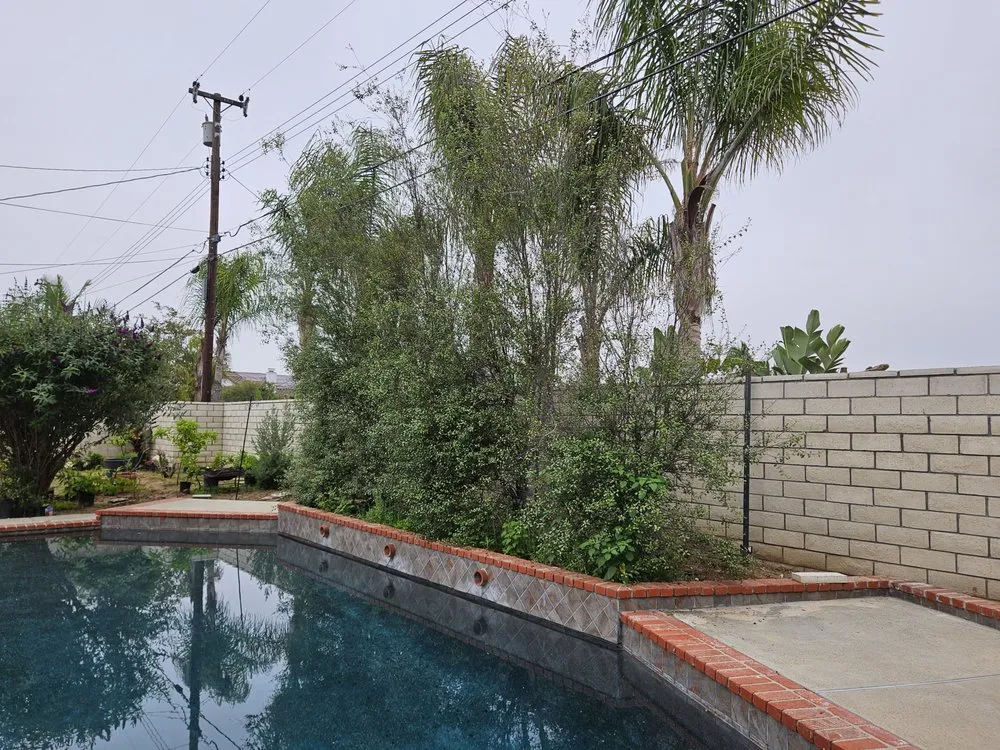 Trusted lawn mowing service in Fullerton, CA - Pacific Coast Landscaping