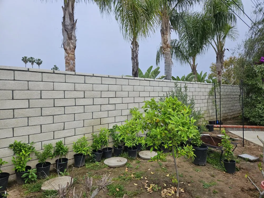 Professional lawn mowing service in Fullerton, CA by Pacific Coast Landscaping