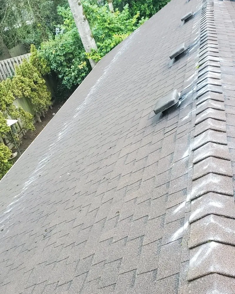 Trusted yard maintenance for outdoor upgrades in Monmouth, OR by Pacific Coast Lawn & Garden