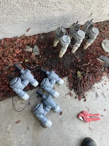 Custom lawn care service with custom design in Stockton, CA by Pacific Coast Lawn Management