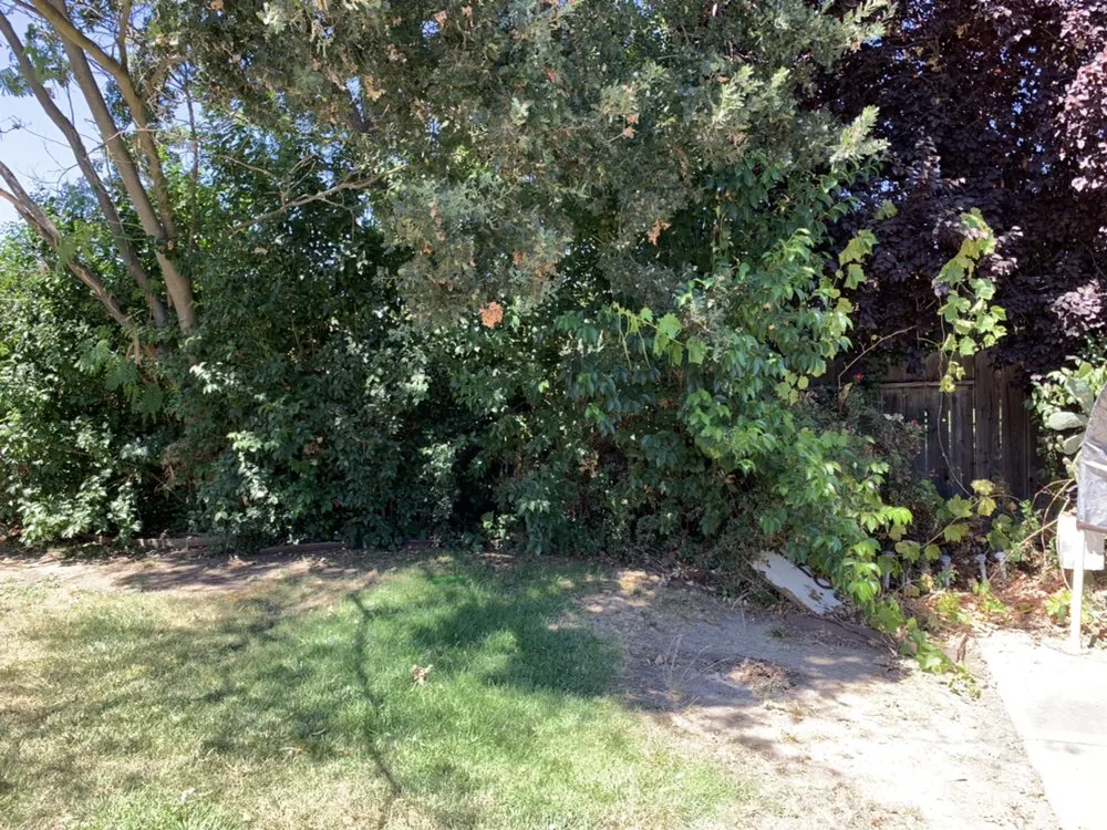 Custom lawn mowing service in Stockton, CA - Pacific Coast Lawn Management