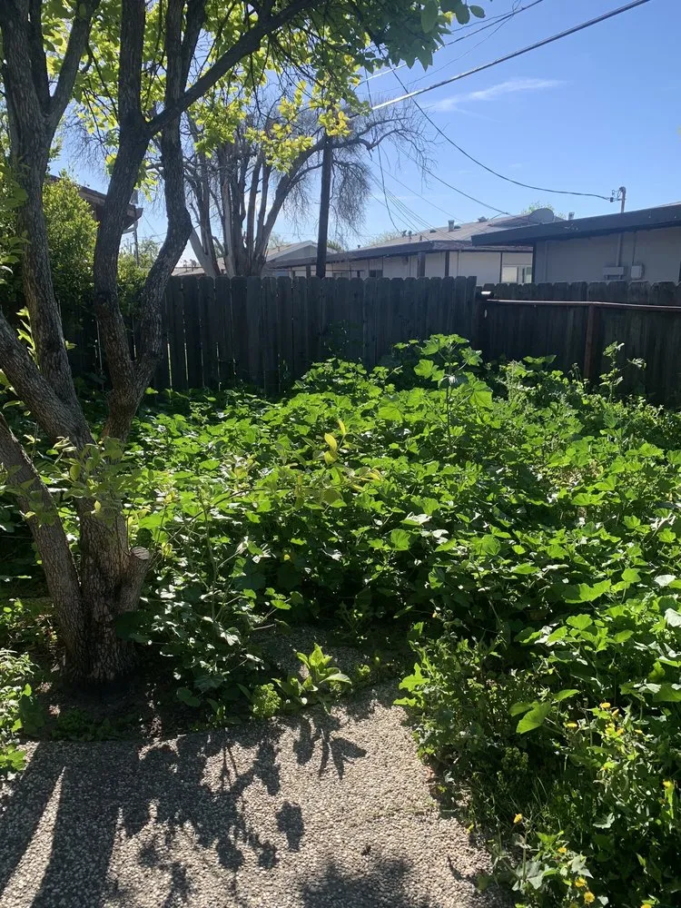 Reliable landscape design in Stockton, CA by Pacific Coast Lawn Management