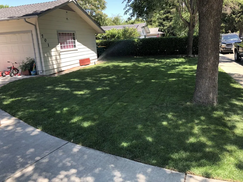 Trusted lawn care service experts serving Stockton, CA - Pacific Coast Lawn Management