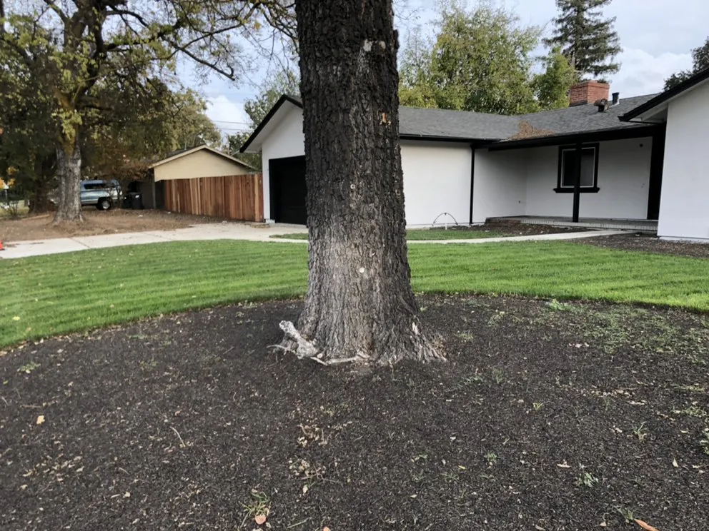 Expert outdoor landscaping in Stockton, CA - Pacific Coast Lawn Management