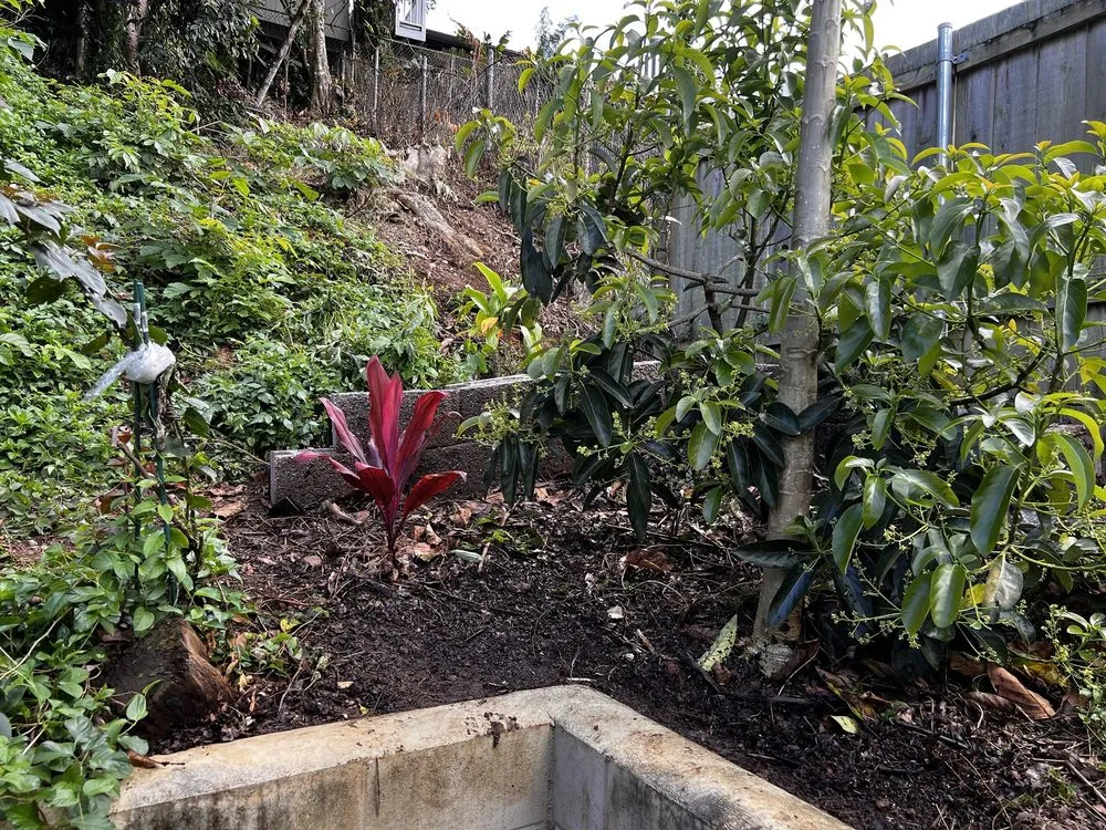 Custom residential landscaping in Haleiwa, HI - Pacific Coastline Landscape Design