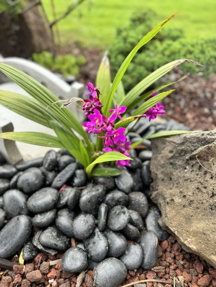 Top-rated landscape installation experts serving Haleiwa, HI - Pacific Coastline Landscape Design