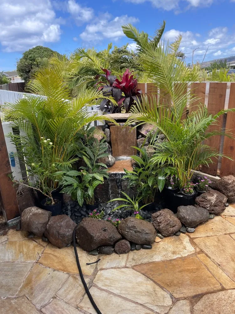 Affordable yard cleanup service for year-round maintenance across Haleiwa, HI - Pacific Coastline Landscape Design
