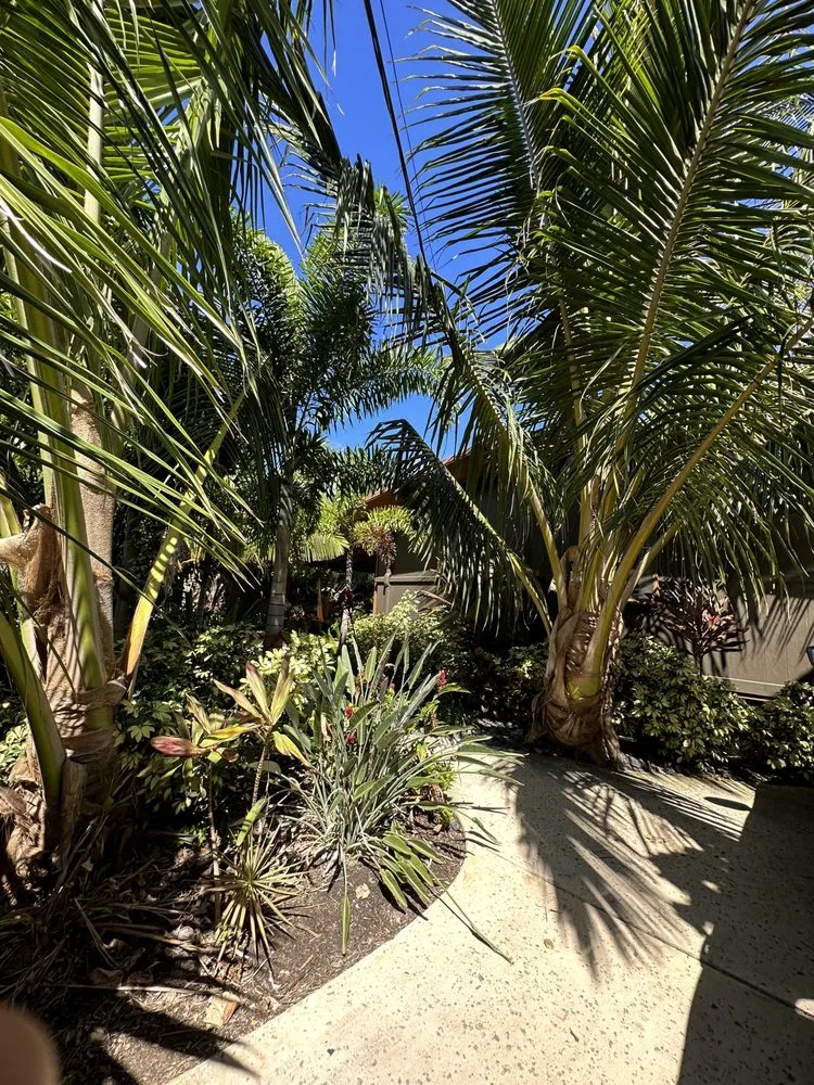 Professional yard maintenance in Haleiwa, HI - Pacific Coastline Landscape Design