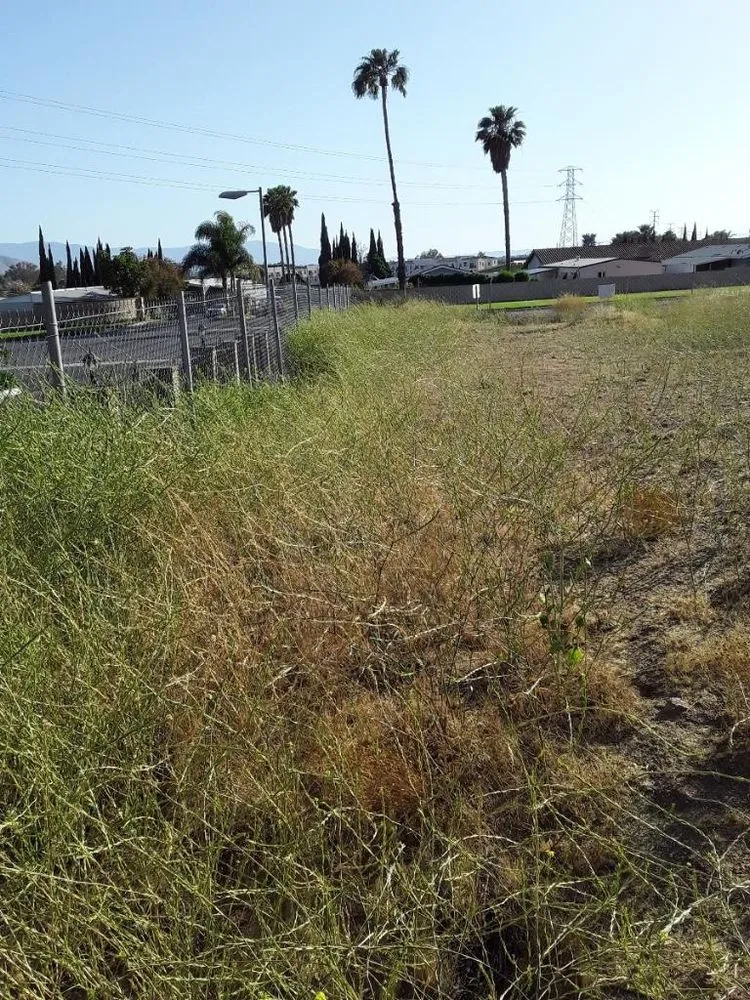 Custom lawn care service in Wildomar, CA - Pacific Commercial Property Services