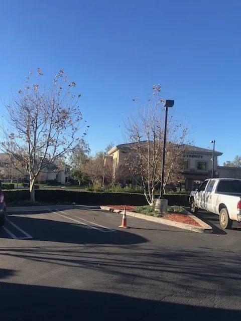 Local landscape design for year-round maintenance in Wildomar, CA by Pacific Commercial Property Services