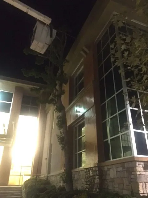 Local landscape design in Wildomar, CA by Pacific Commercial Property Services