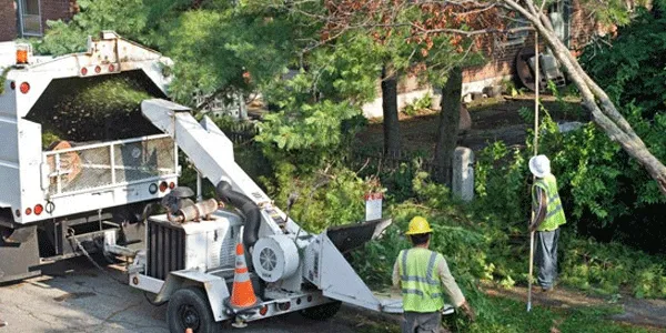 Affordable yard maintenance experts serving Wildomar, CA - Pacific Commercial Property Services