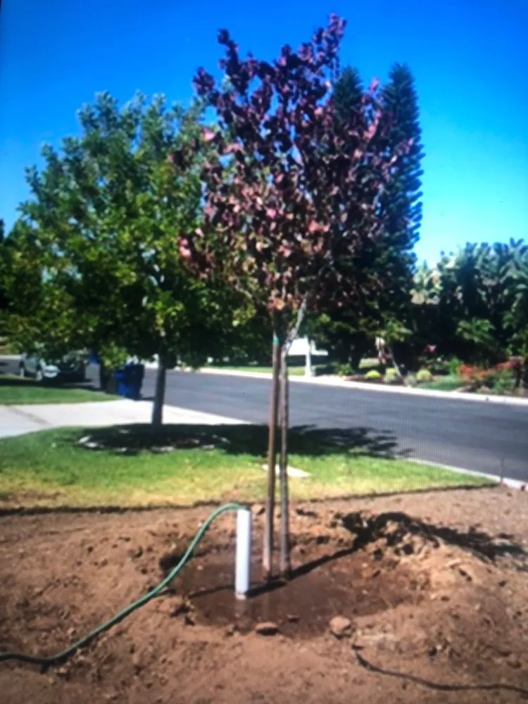Professional garden landscaping experts serving Riverside, CA - Pacific Crest Landscape